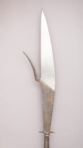 Fauchard