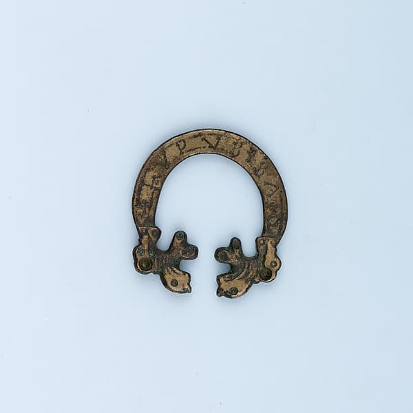 Buckle Loop