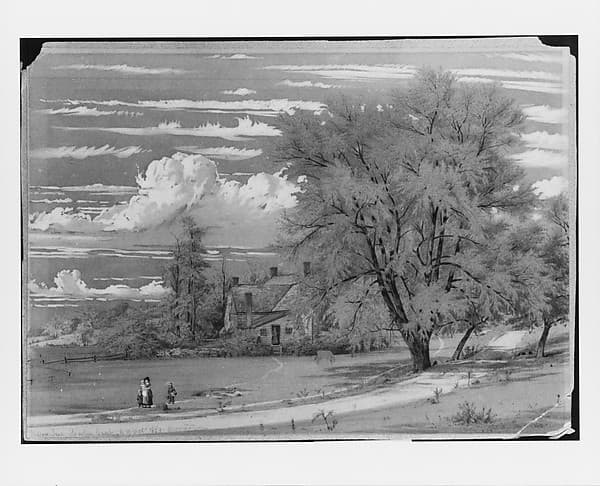 Willow Tree, Harlem Creek, New York, by William Rickarby Miller