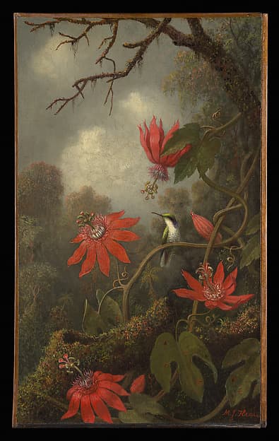 Hummingbird and Passionflowers, by Martin Johnson Heade