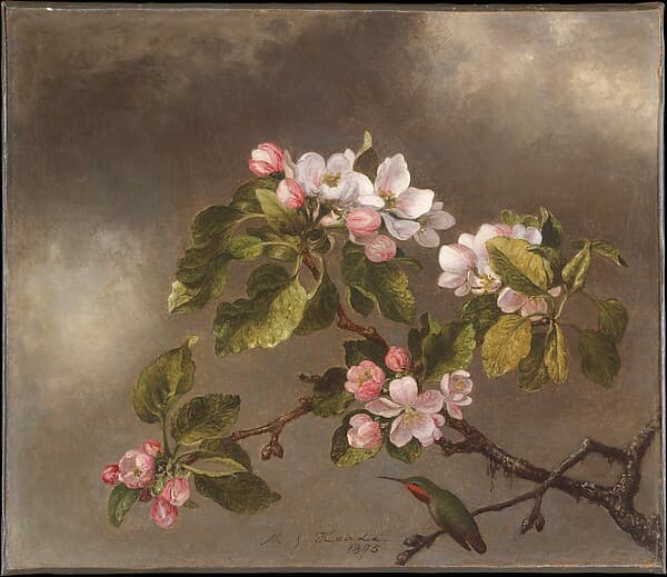 Hummingbird and Apple Blossoms, by Martin Johnson Heade