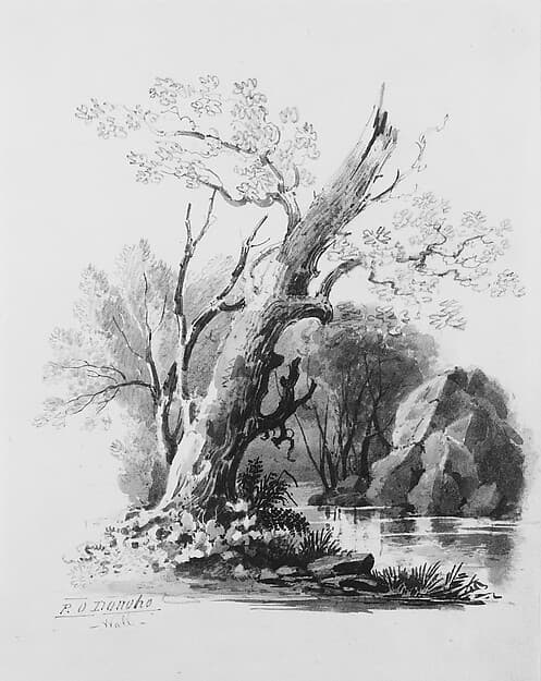 Forest Grove, by William Guy Wall