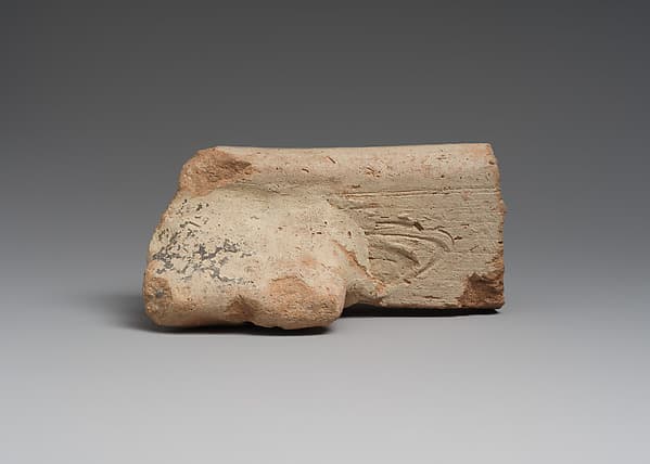 Rim sherd