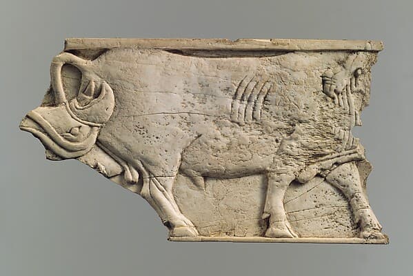 Plaque fragment
