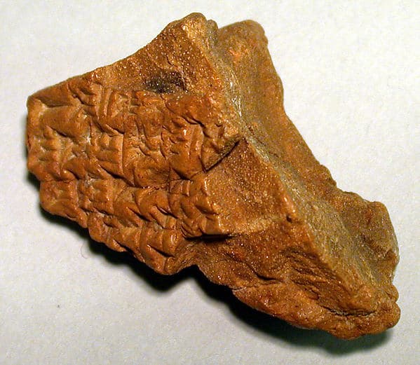 Cuneiform tablet: unidentified fragment