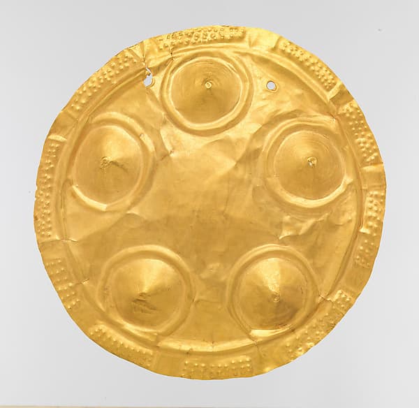 Pectoral Disk
