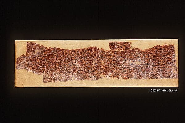 Dress Fragment