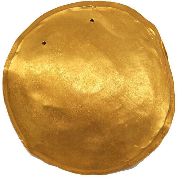 Pectoral Disk