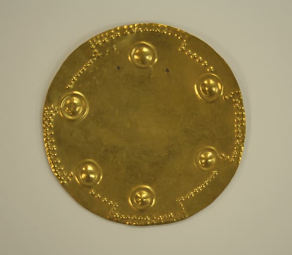 Pectoral Disk