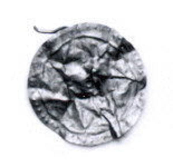 Disk ornament