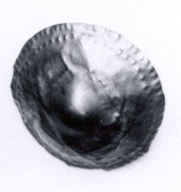 Disk ornament