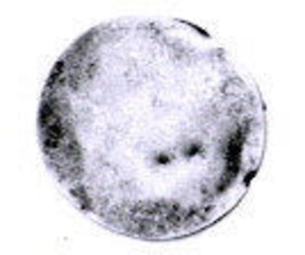 Disk ornament