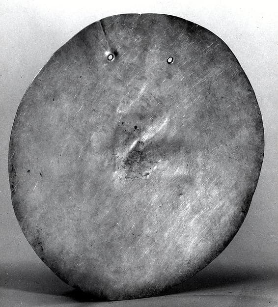 Pectoral Disk