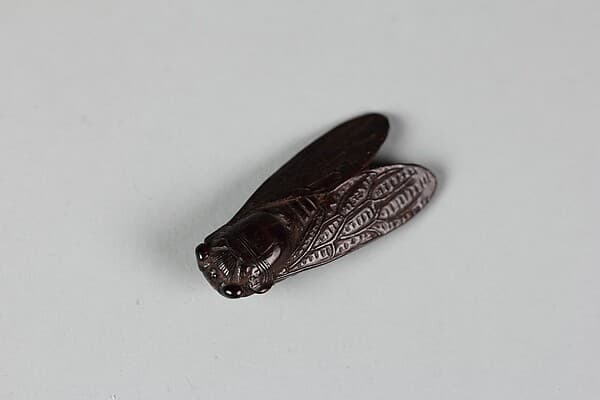 Netsuke of Cicada