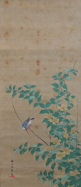 Kingfisher on a Branch of Yamabuki, by Katsukawa Shunshō 勝川春章