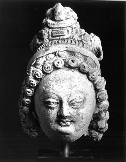 Head