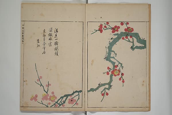 A Collection of Lively Sketches [Of Flowers and Insects] of the Ming Dynasty (Minchō shiken) 明朝紫硯, by Ooka Shunboku 大岡春卜