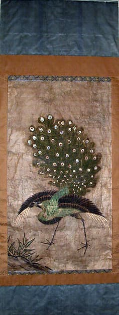 Peacock