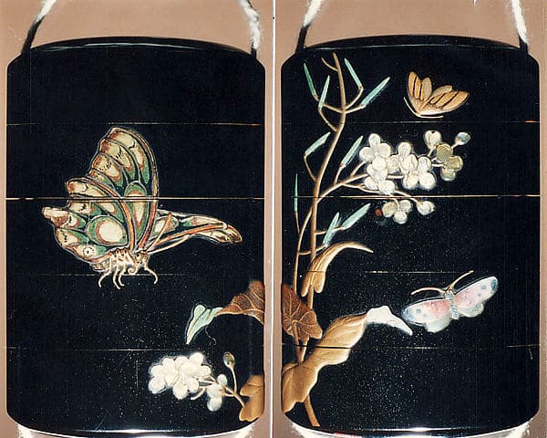 Case (Inrō) with Design of Moth and Butterflies beside Flowering Mustard Plant