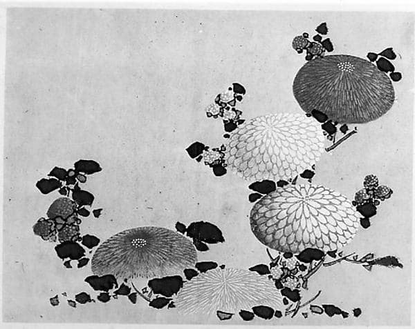 Chrysanthemums, by Hokusai School