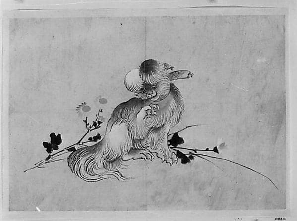 Pekingese, by Hokusai School