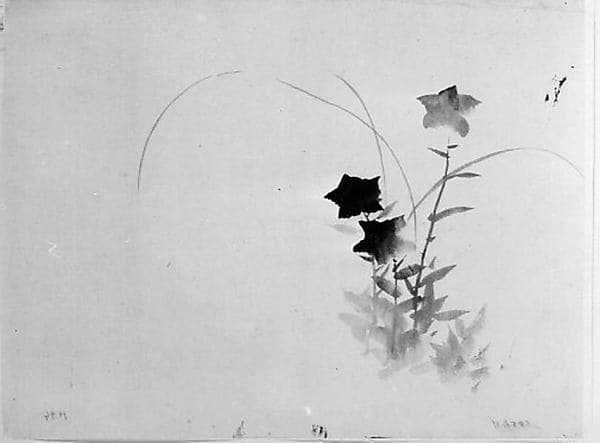 Bellflower, by Hokusai School