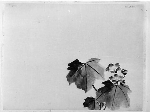 Bellflower, by Hokusai School