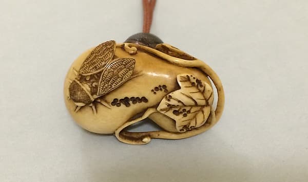 Gourd and Cicada