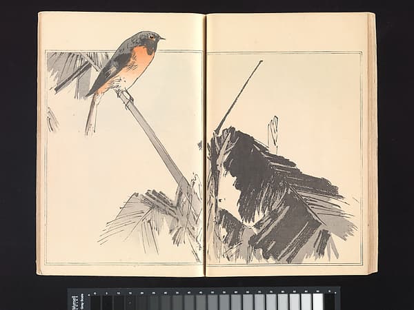 Seitei’s Picture Album of Birds and Flowers (Seitei Kachō gafu), by Watanabe Seitei