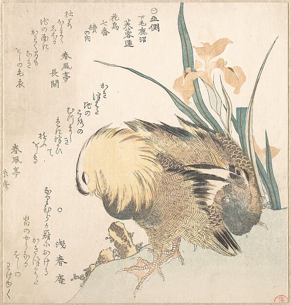 Pair of Mandarin Ducks and Iris Flowers, by Kubo Shunman