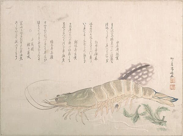 Shrimp and Cuttlefish, by Ryūryūkyo Shinsai
