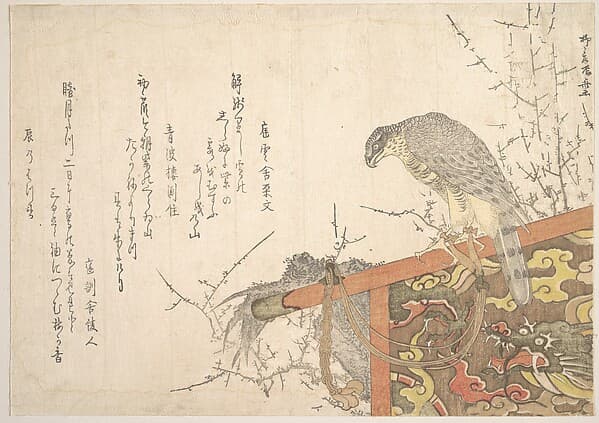Hawk Tied to Perch, by Ryūryūkyo Shinsai