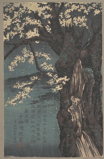 Cherry Tree, by Kobayashi Kiyochika