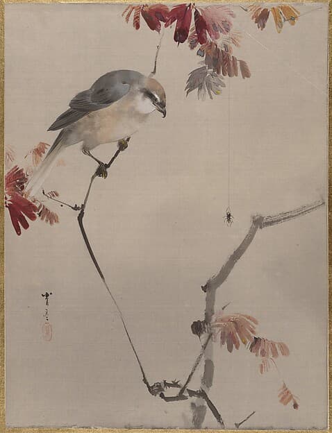Bird on Branch Watching Spider, by Watanabe Seitei