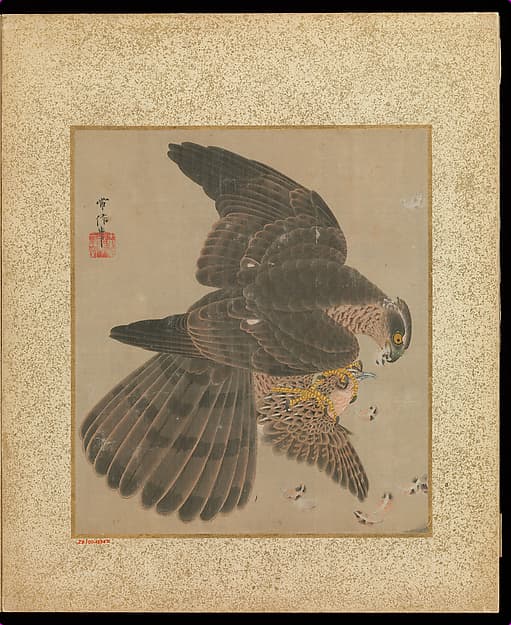 Album of Hawks and Calligraphy, by Kano Tsunenobu