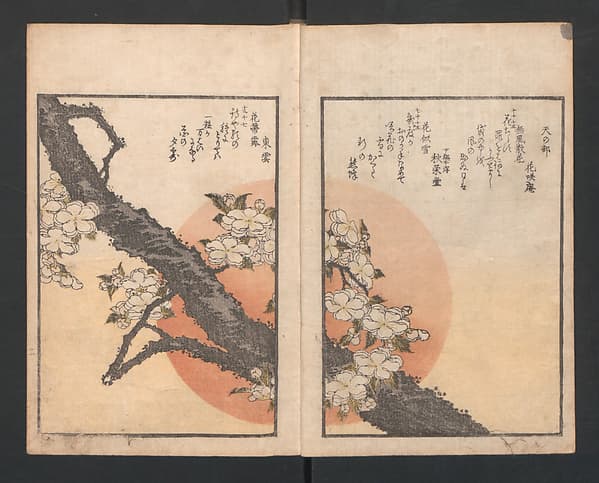 One Hundred Comic Poems of the Flower, One of the Three Friends, Tsuki, the Moon, Yuki, the Snow, and Hana, the Flower (Sansai hana hyakushu) 三才花百首, by Totoya Hokkei 魚屋北渓
