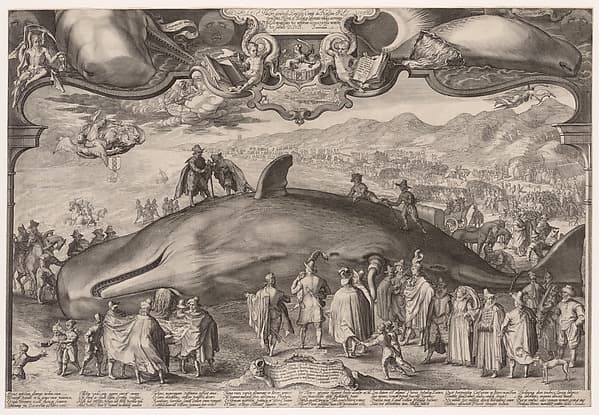 Beached Whale at Wijk aan Zee, by Jan (Pietersz.) Saenredam