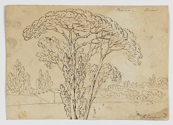 Pinco Rome (Roman Pines) (recto), Foliage sketches (verso), by Richard Cooper II