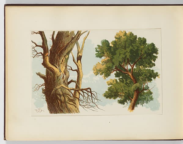A Course of Water-Colour Painting with Twenty-Four Coloured Plates from Designs by R. P. Leitch, by Richard Principal Leitch