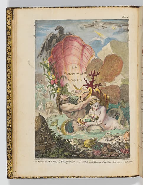 L'Histoire naturelle éclaircie dans une de ses parties principales, la Conchyliologie, qui traite des coquillages de mer, de rivière et de terre, by Antoine Joseph Dézallier d'Argenville