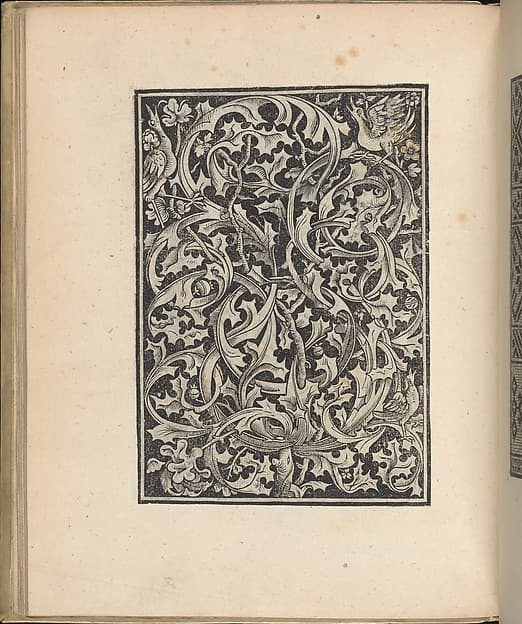 Trionfo Di Virtu. Libro Novo..., page 27 (recto), by Matteo Pagano