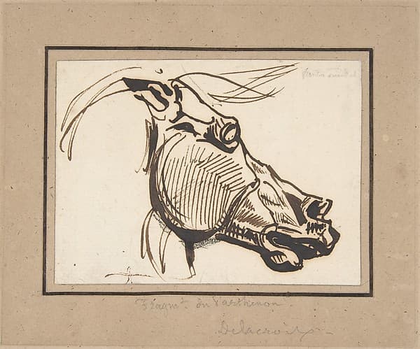 Head of a Horse, after the Parthenon, by Eugène Delacroix