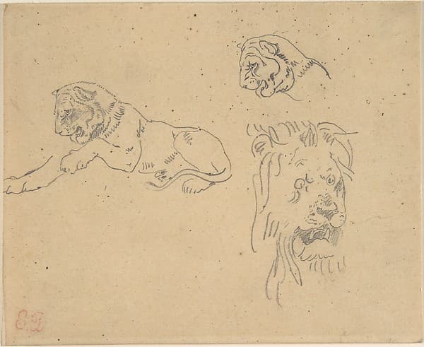 Three Studies of a Lion, by Eugène Delacroix