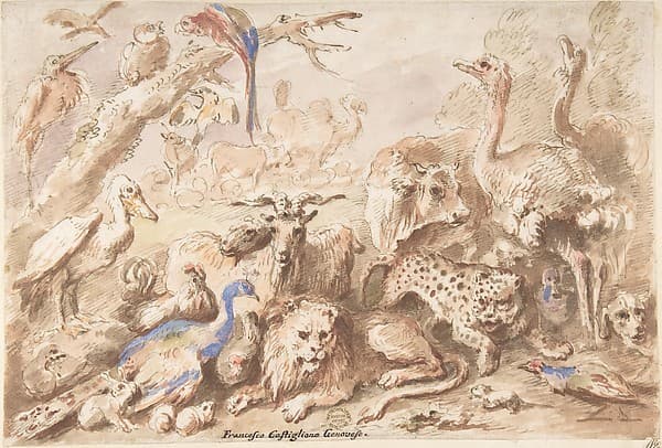 A Congress of Animals, by Giovanni Francesco Castiglione