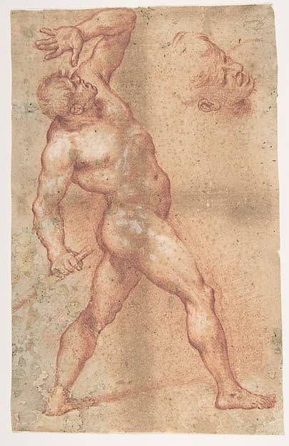 Male Nude with Left Arm Upraised, and a Further Study of His Head, by Aniello Falcone