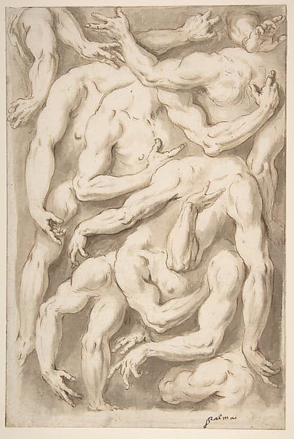 Studies of Arms, Shoulders and Hands, by Giacomo Franco