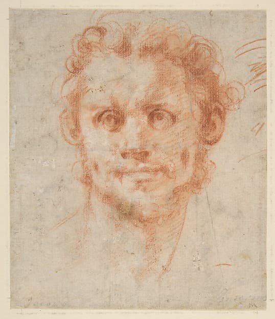 Study of a Man's Head, by Jacopo da Pontormo (Jacopo Carucci)