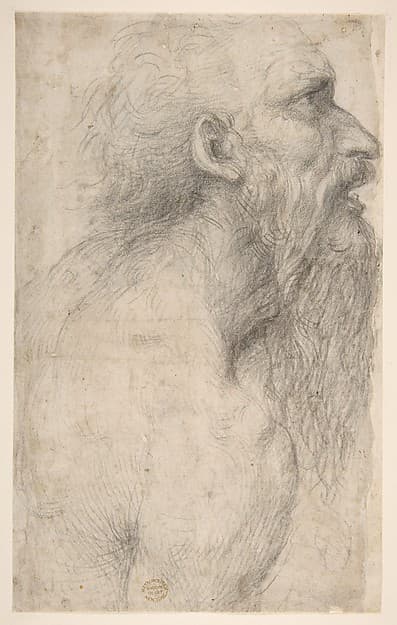Bust of a Man with Long Beard (recto), by Sodoma (Giovanni Antonio Bazzi)