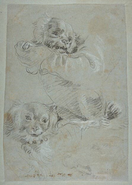 Three Dogs, by Giovanni Domenico Tiepolo
