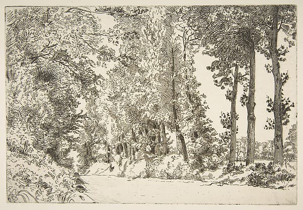 Rue des Bruyères, à Sèvres, by Félix Bracquemond